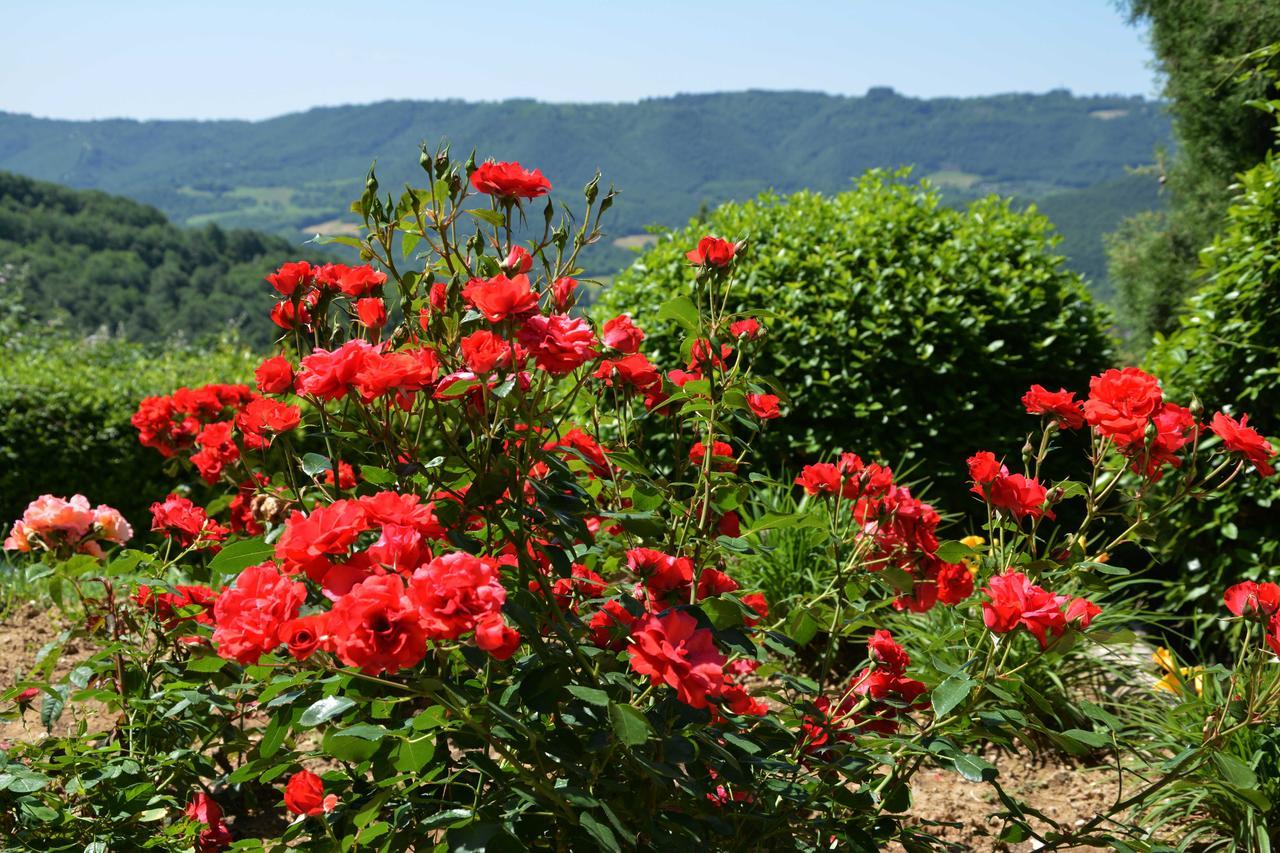 Il Poggiolo Di Parrano Exterior foto